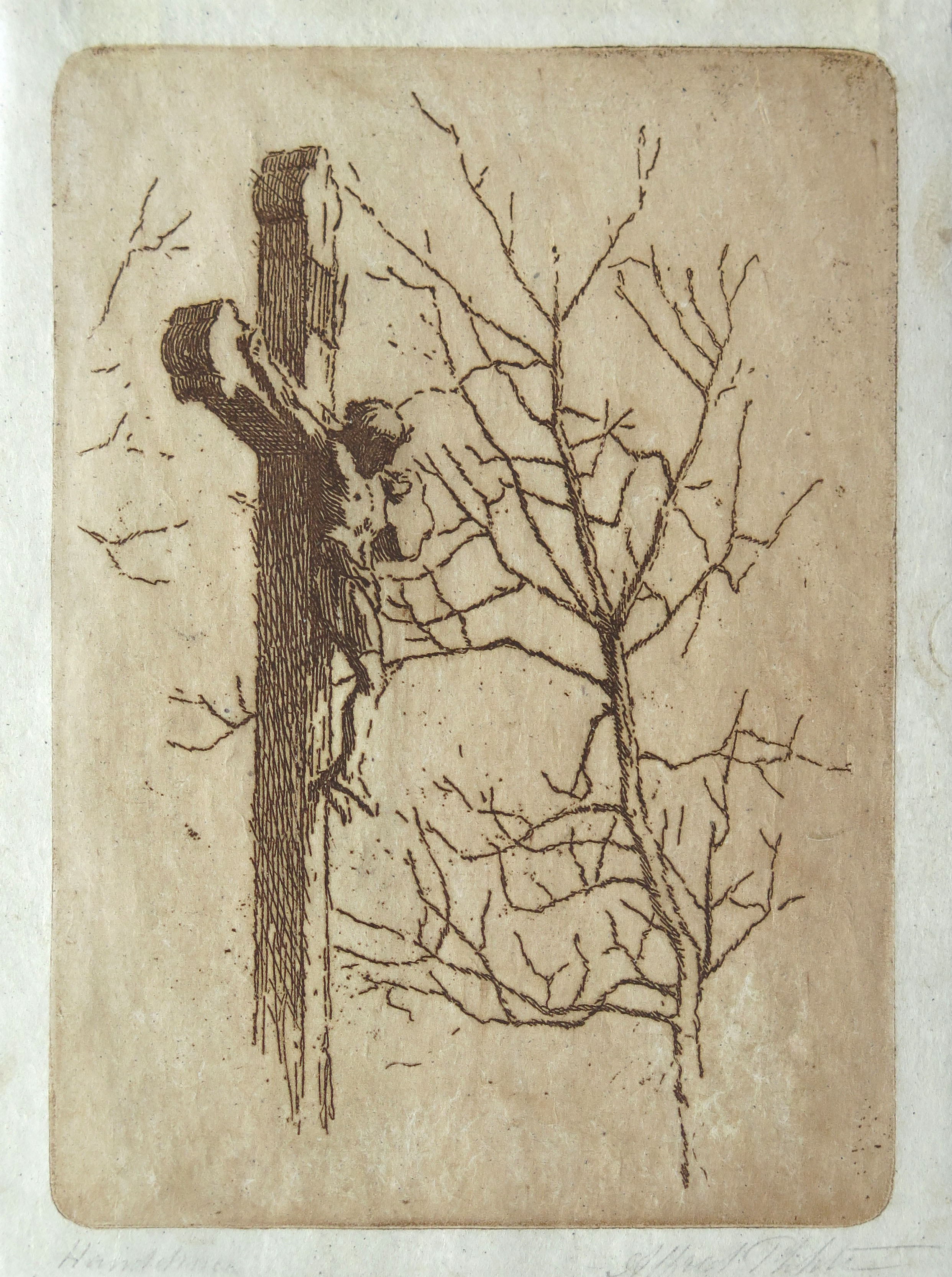 lot picture