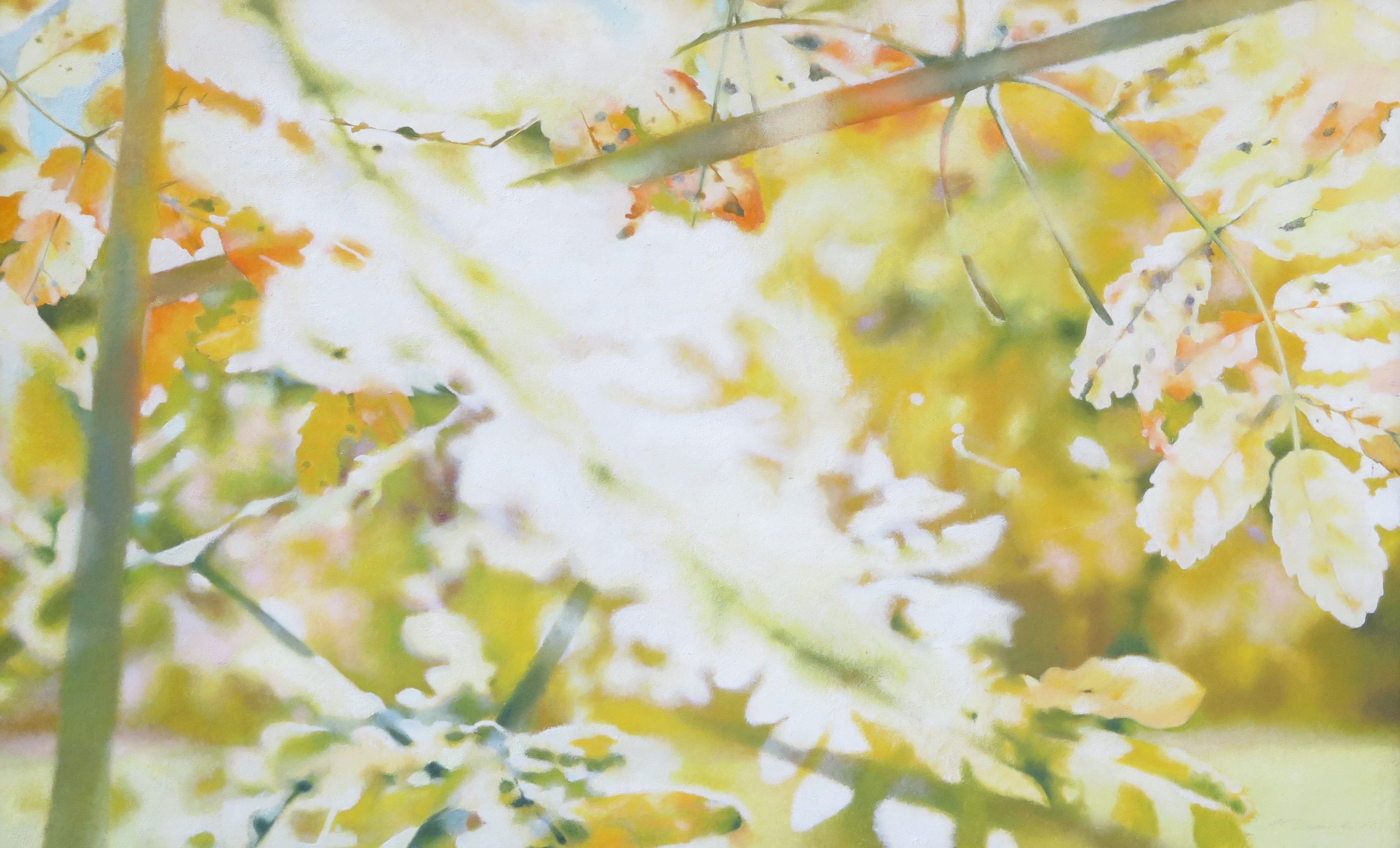 Auction banner image