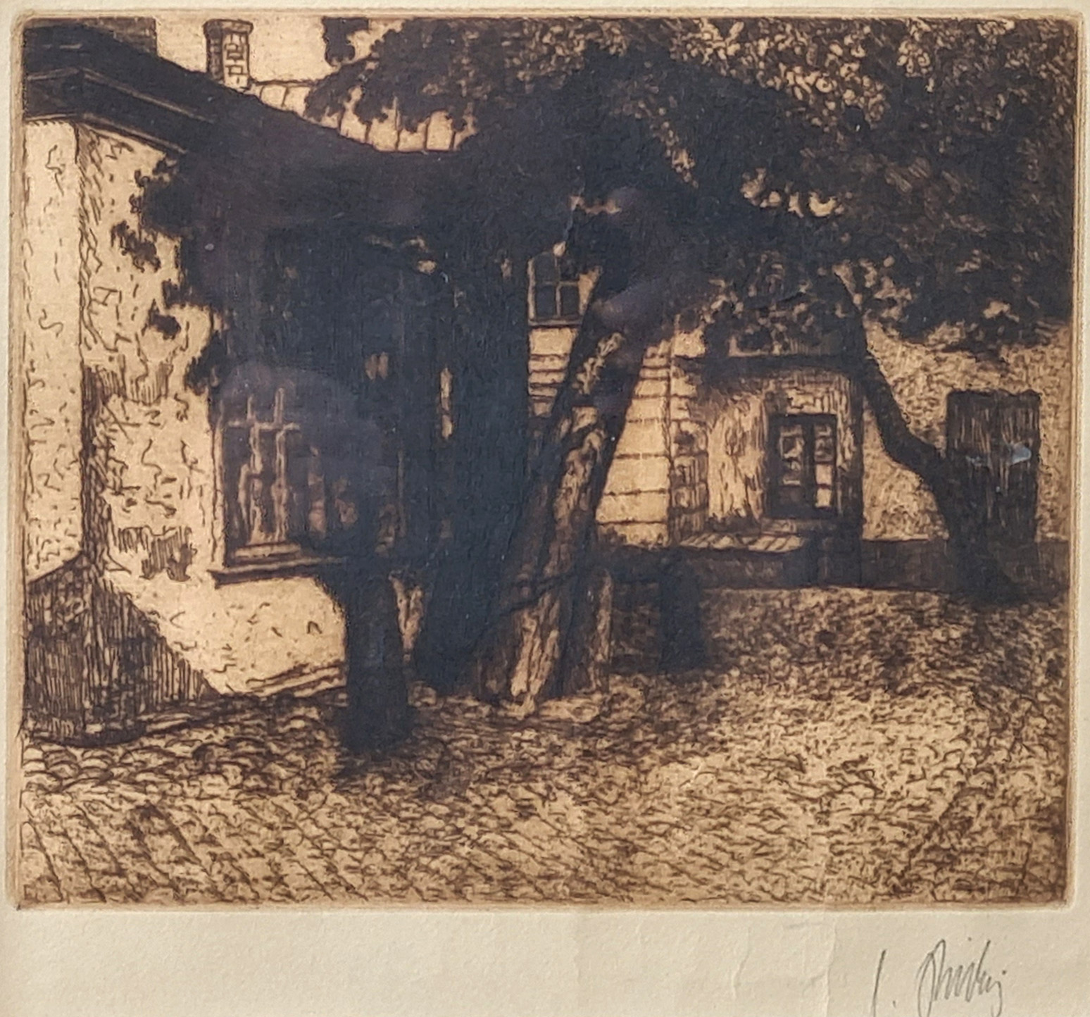 lot picture