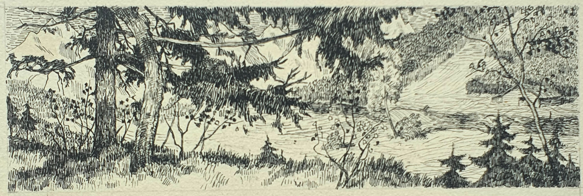 lot picture