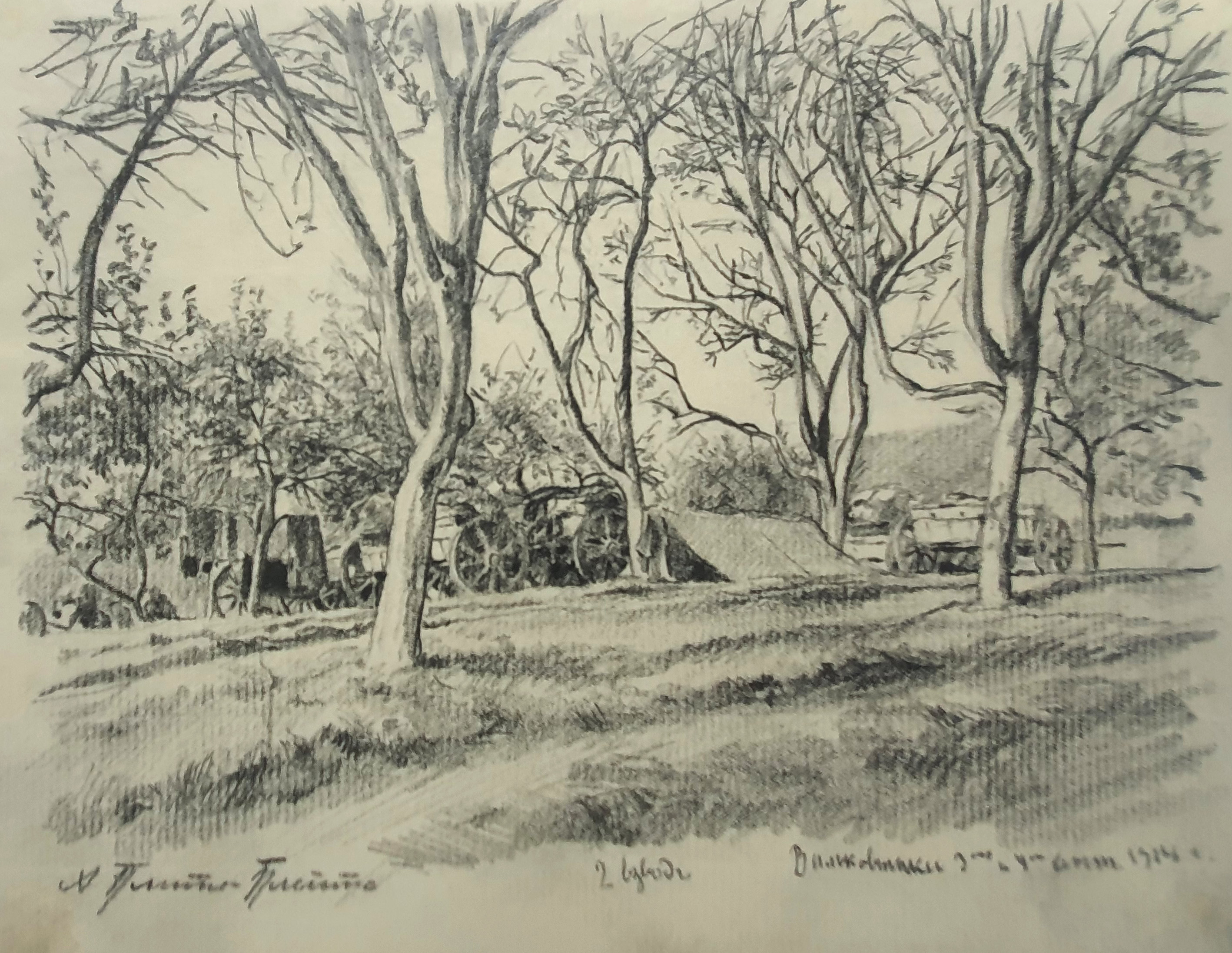 lot picture