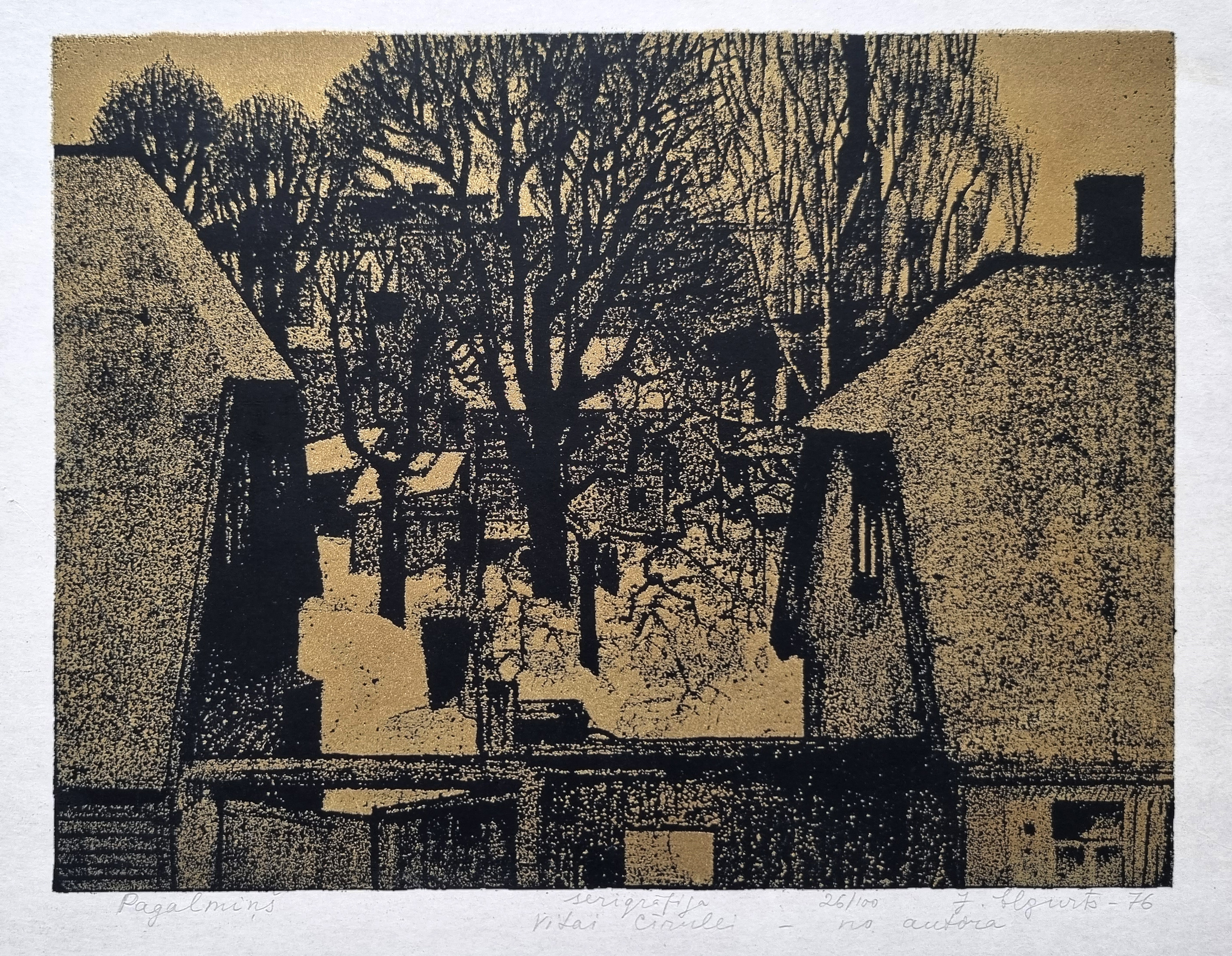 lot picture
