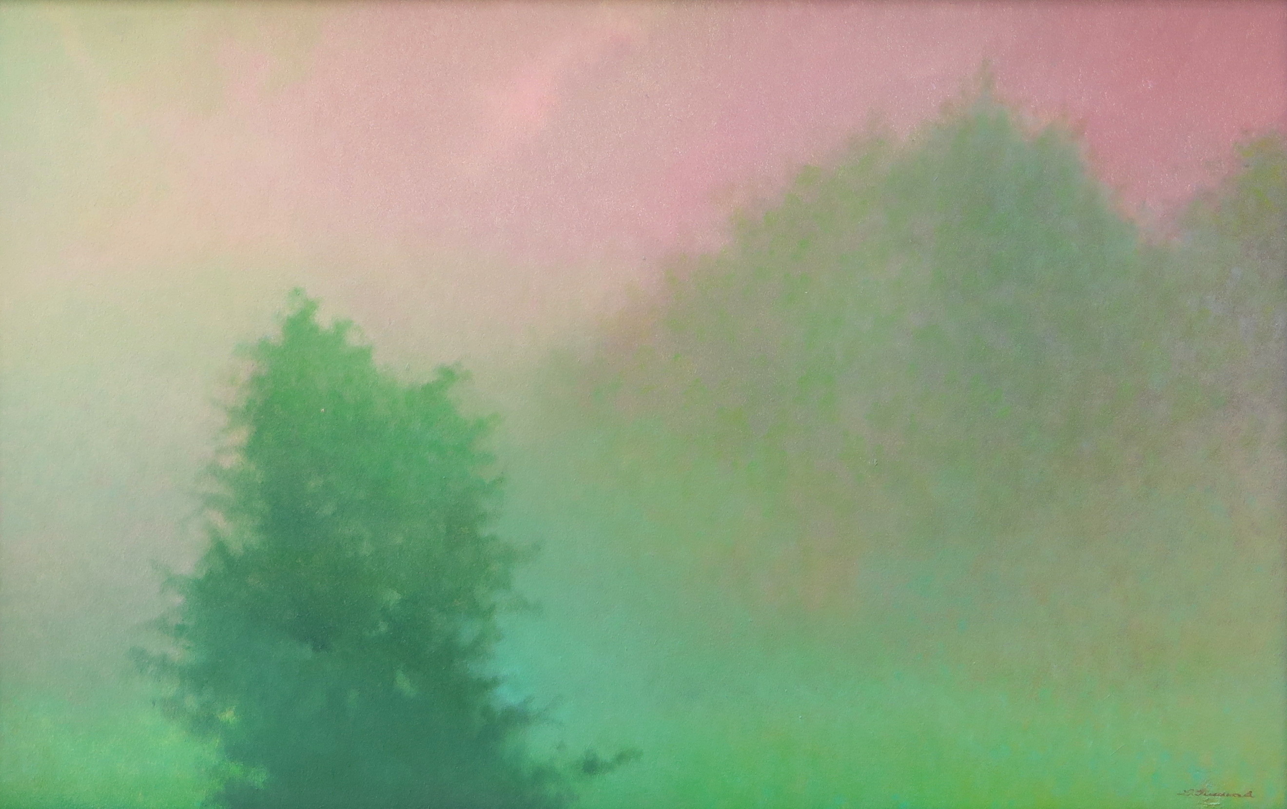 Auction banner image
