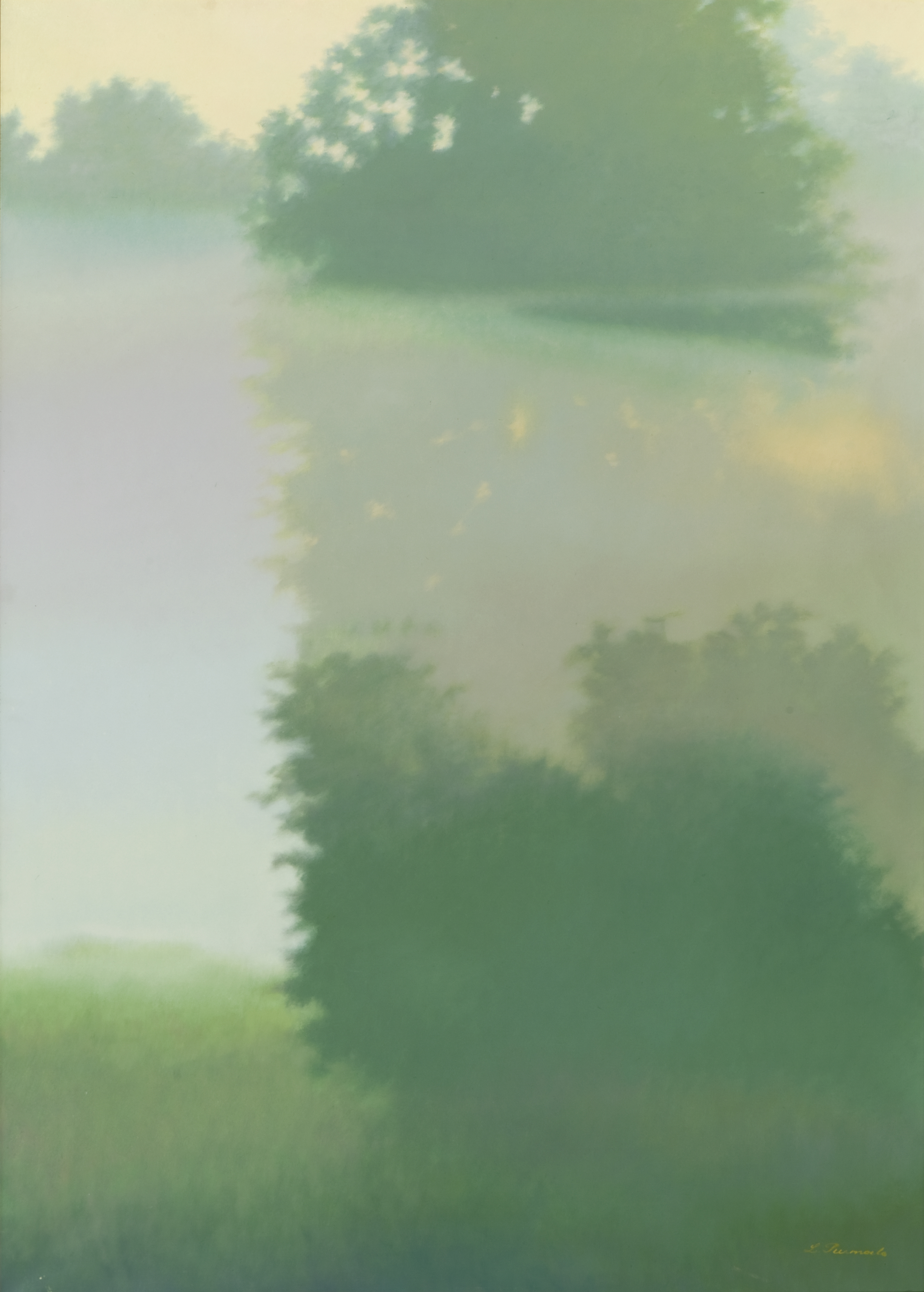 lot picture