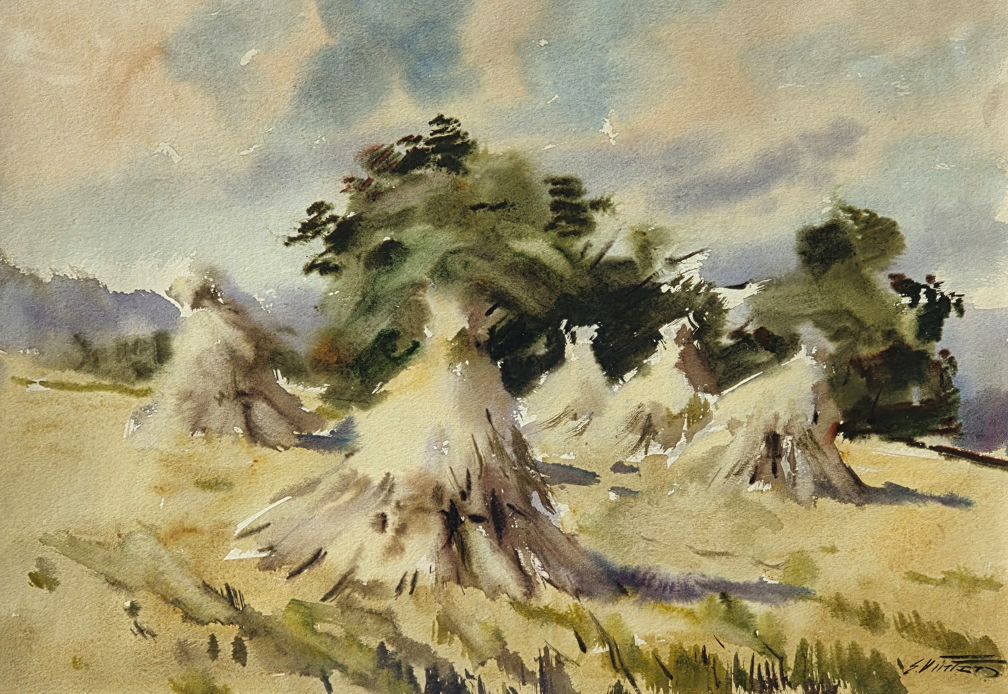 lot picture