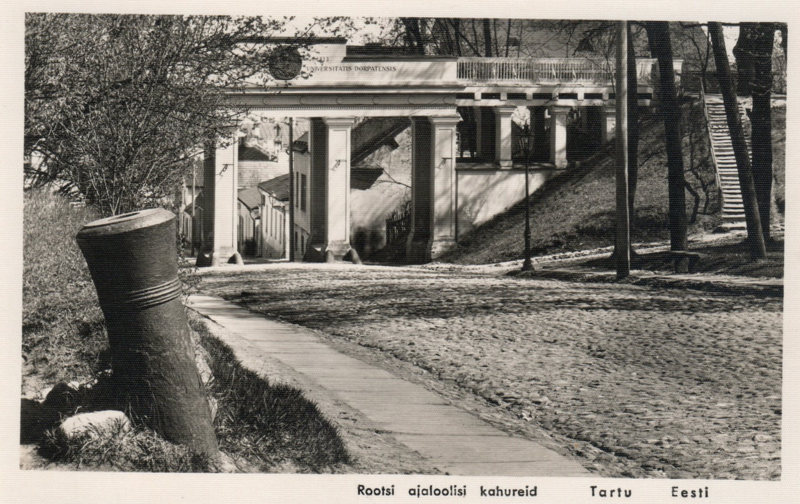 lot picture