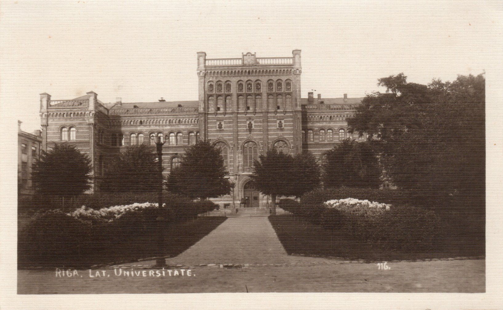 lot picture