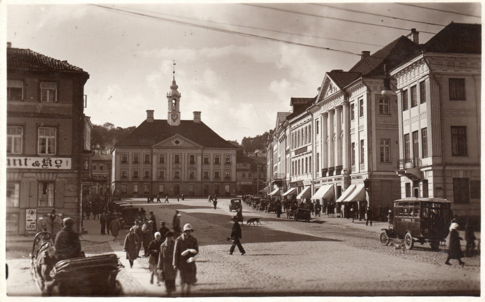 lot picture