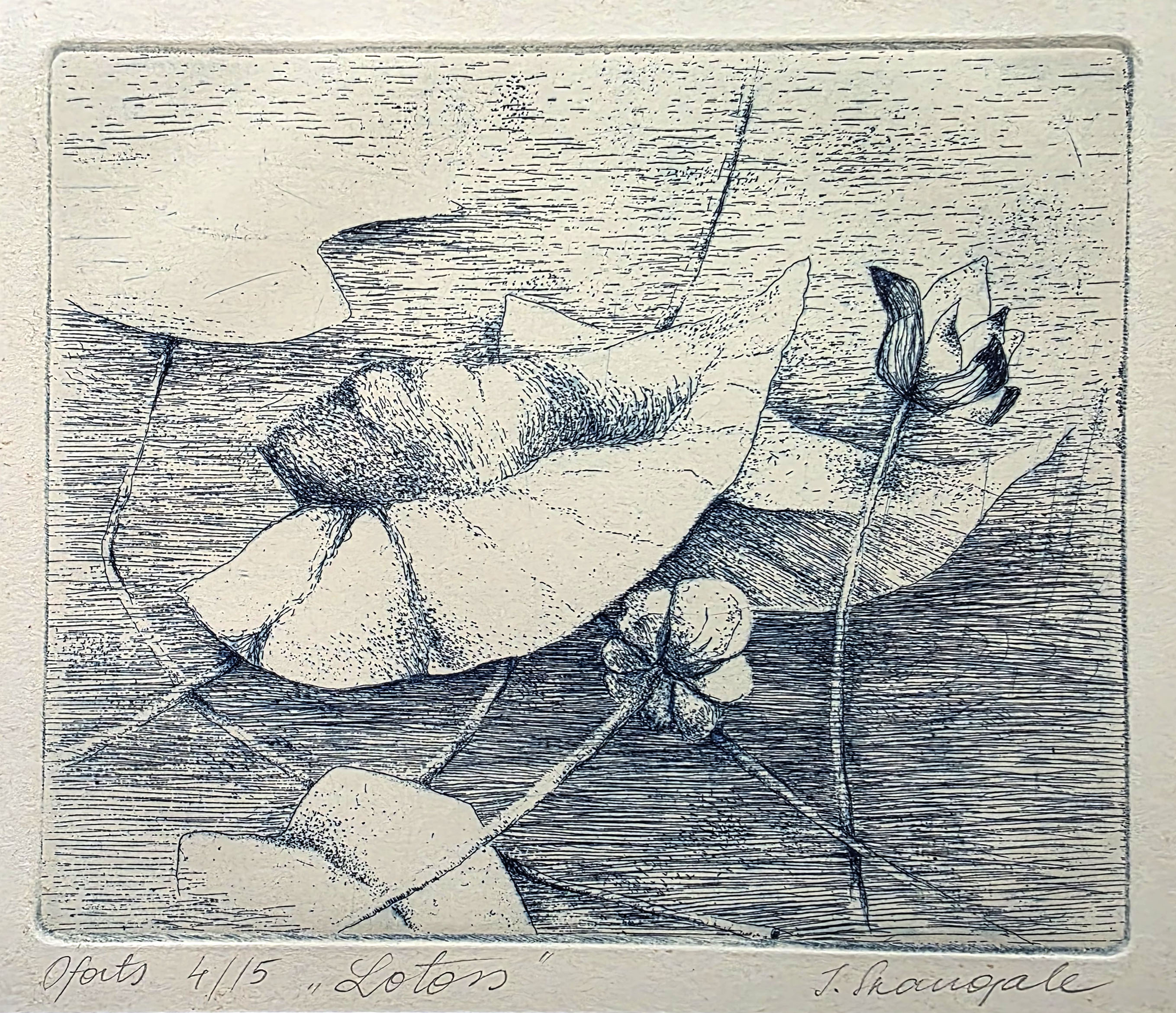 lot picture