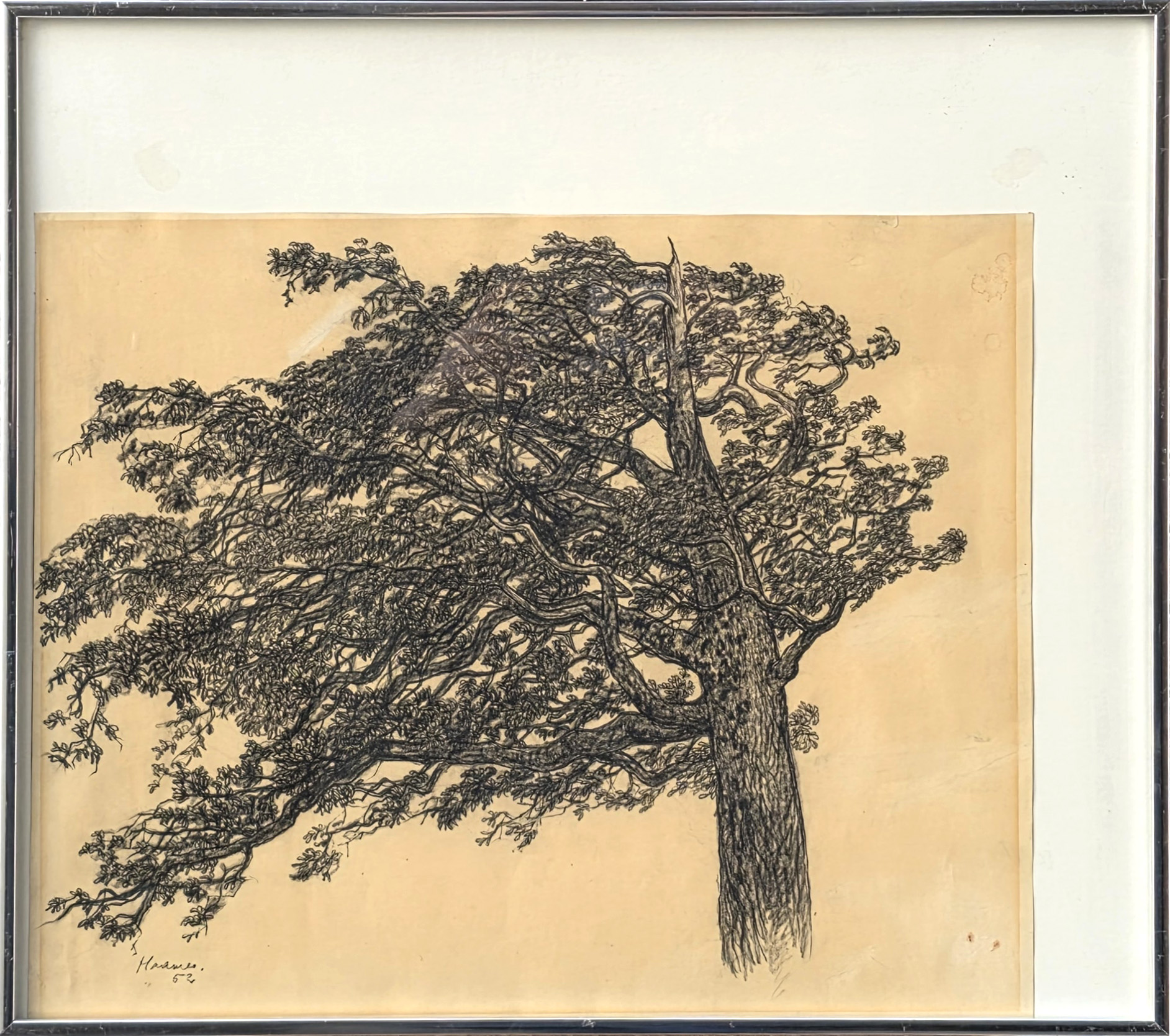 lot picture