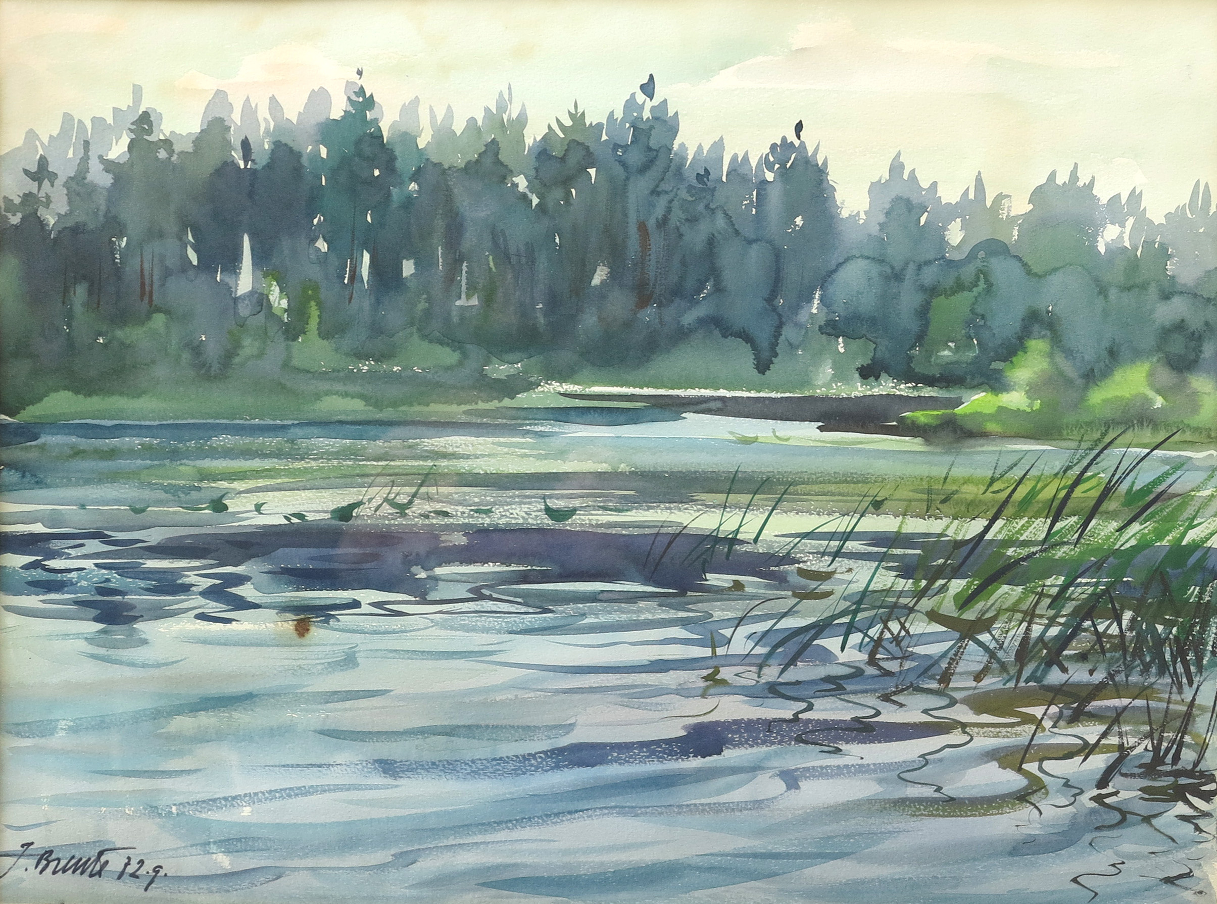 Auction banner image