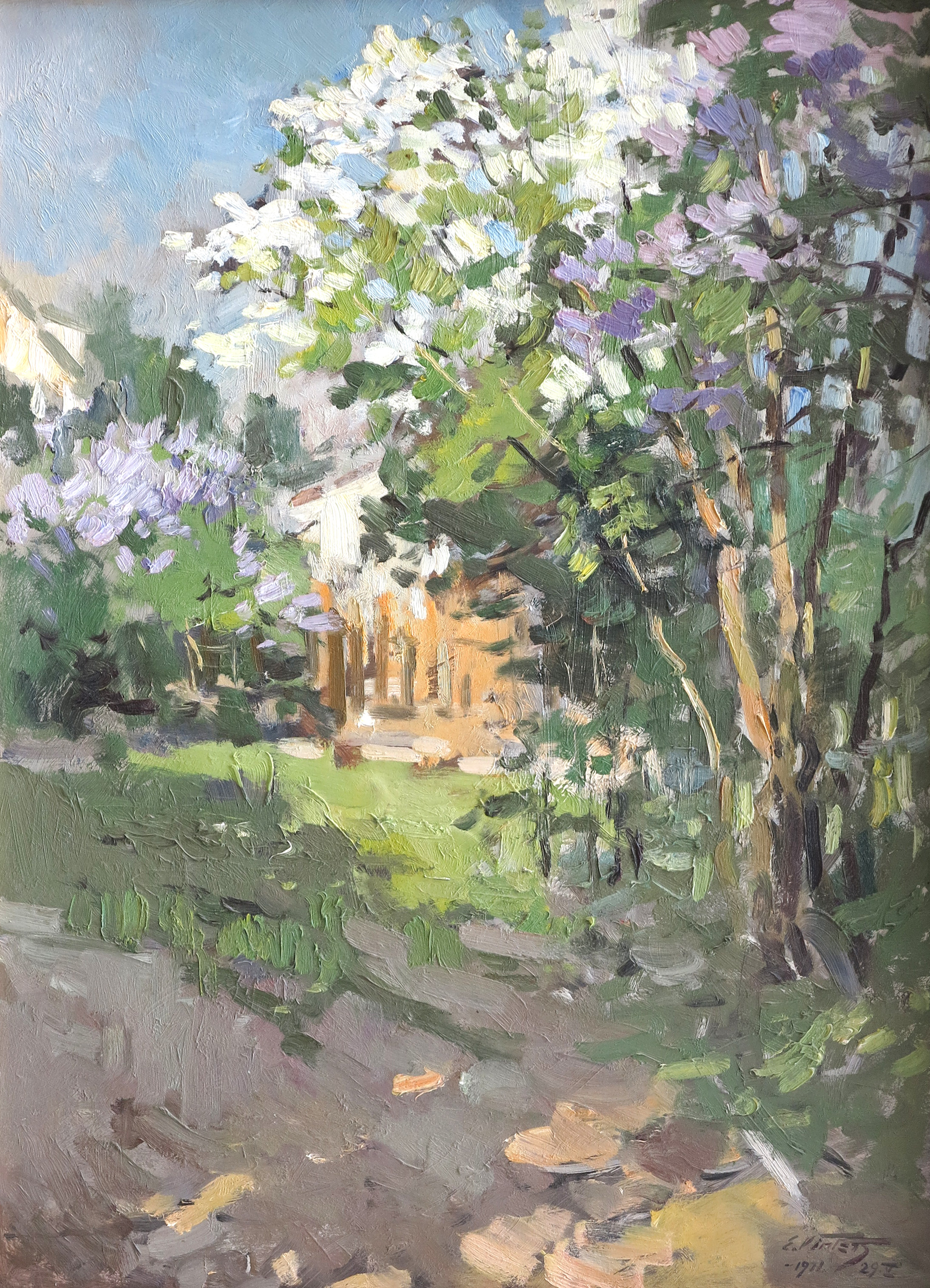 lot picture