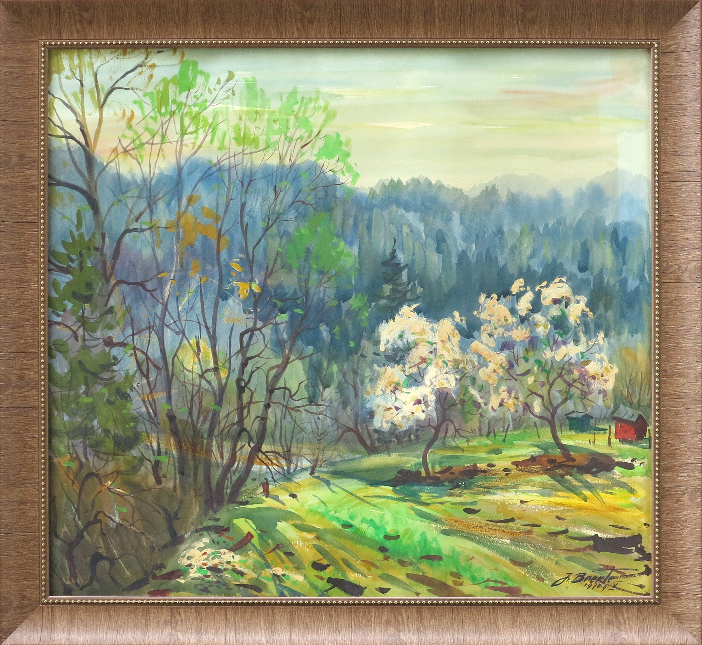 lot picture