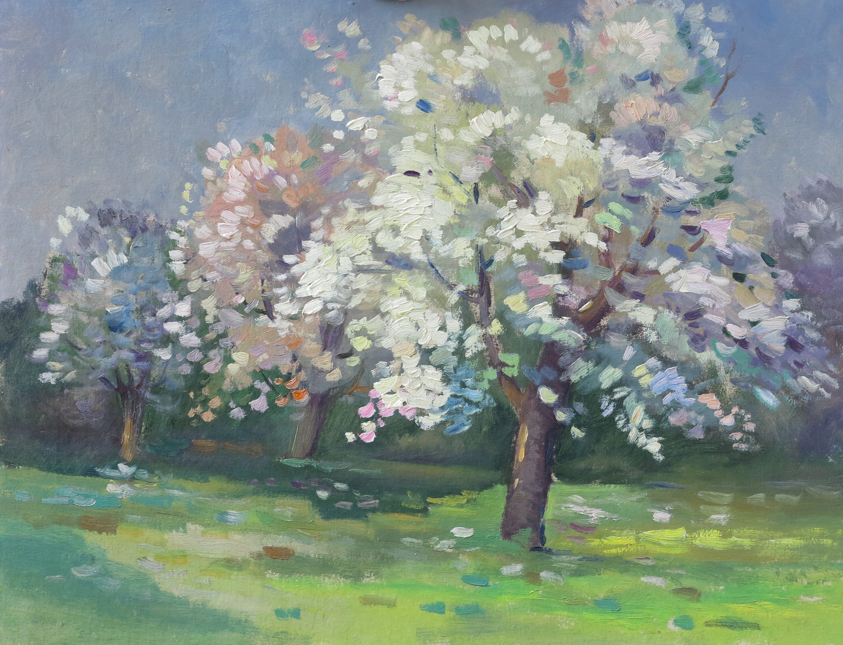 lot picture