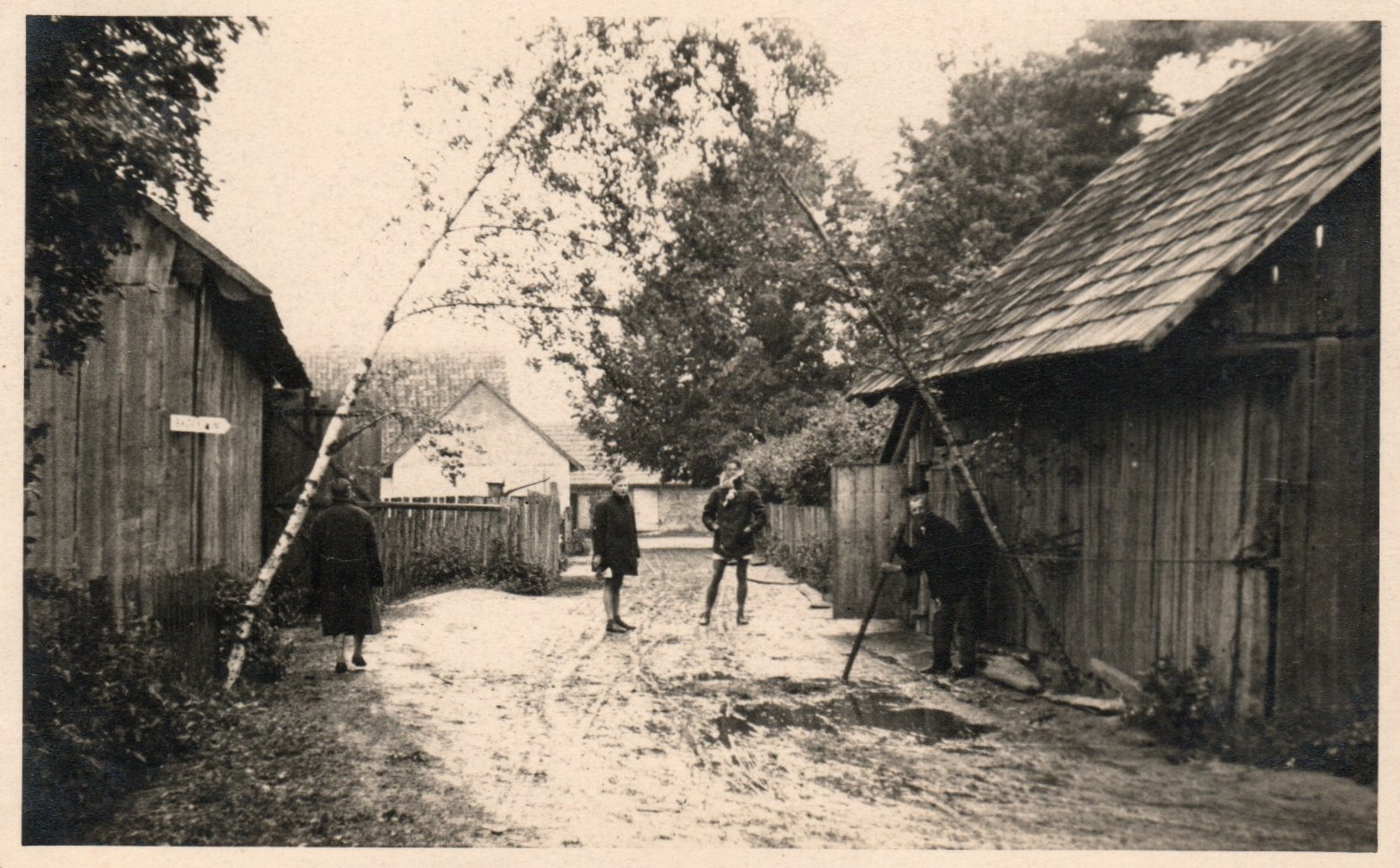 lot picture
