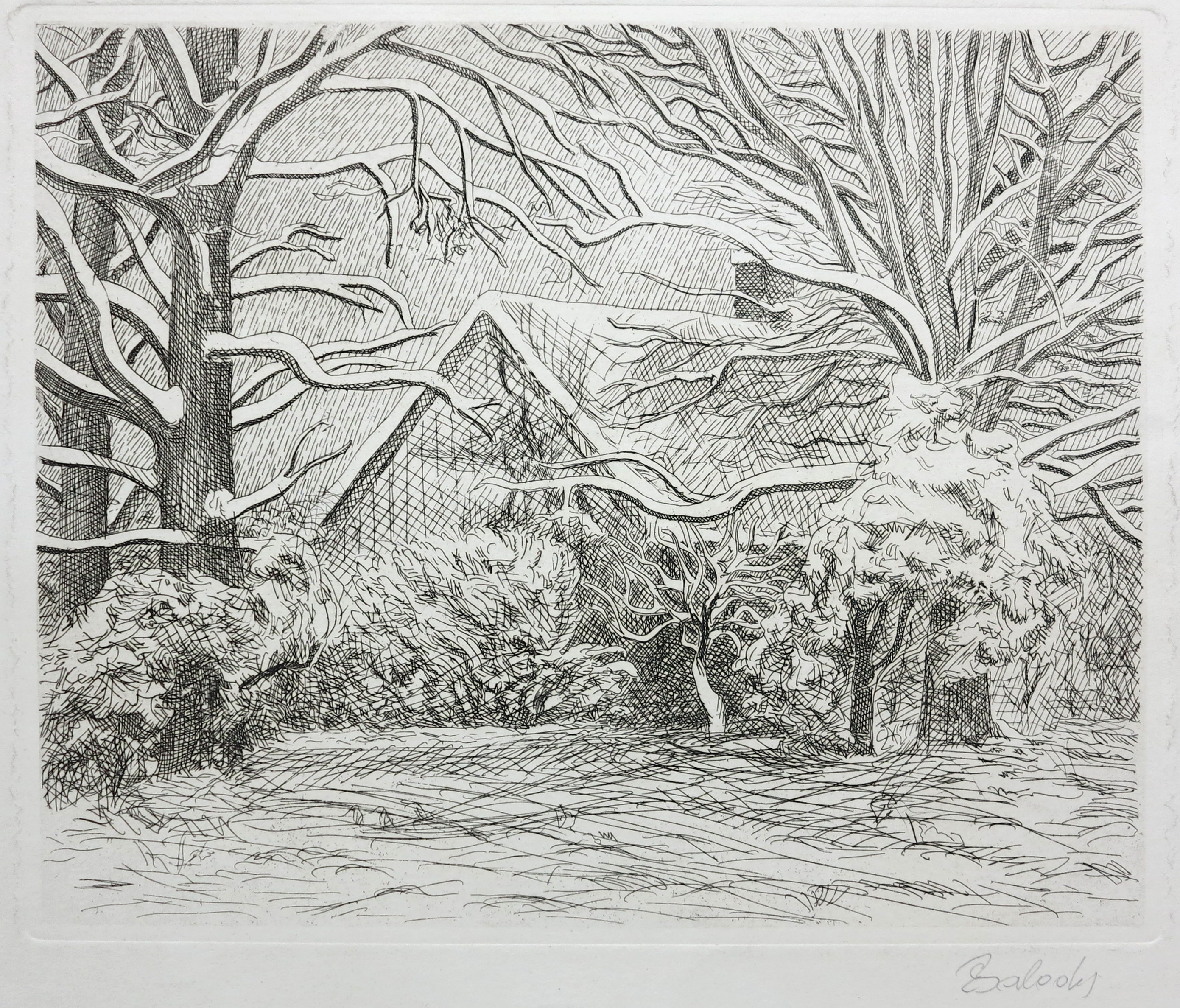 lot picture