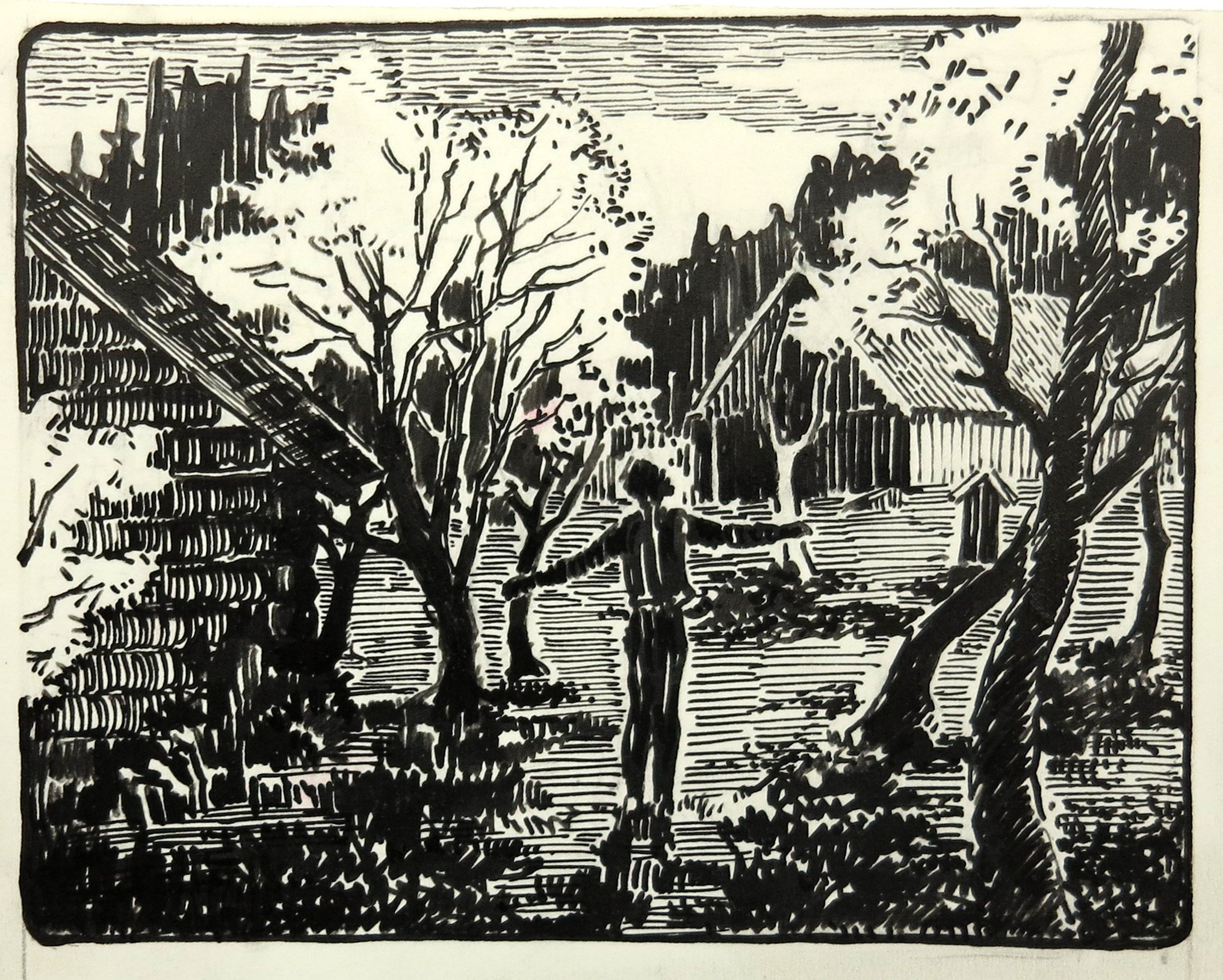 lot picture