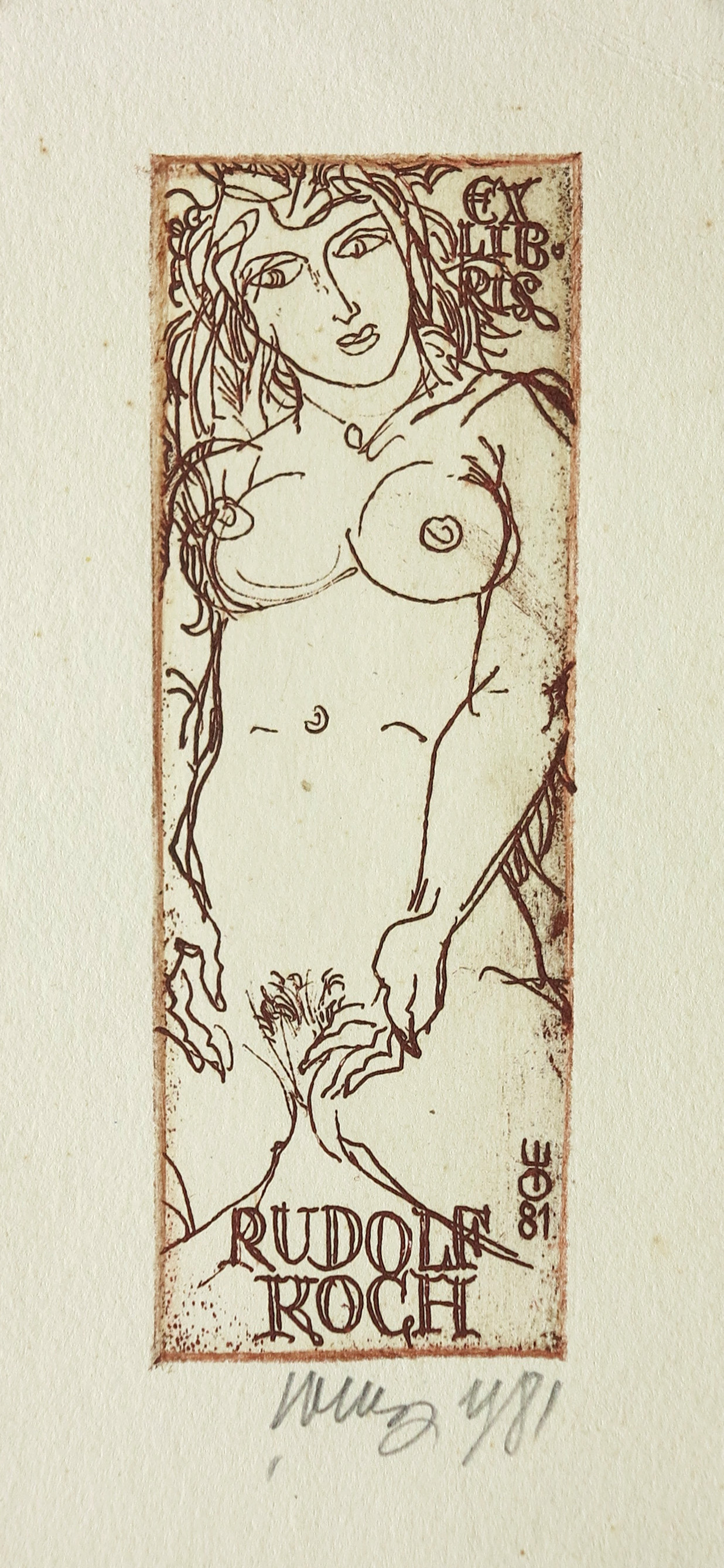 lot picture