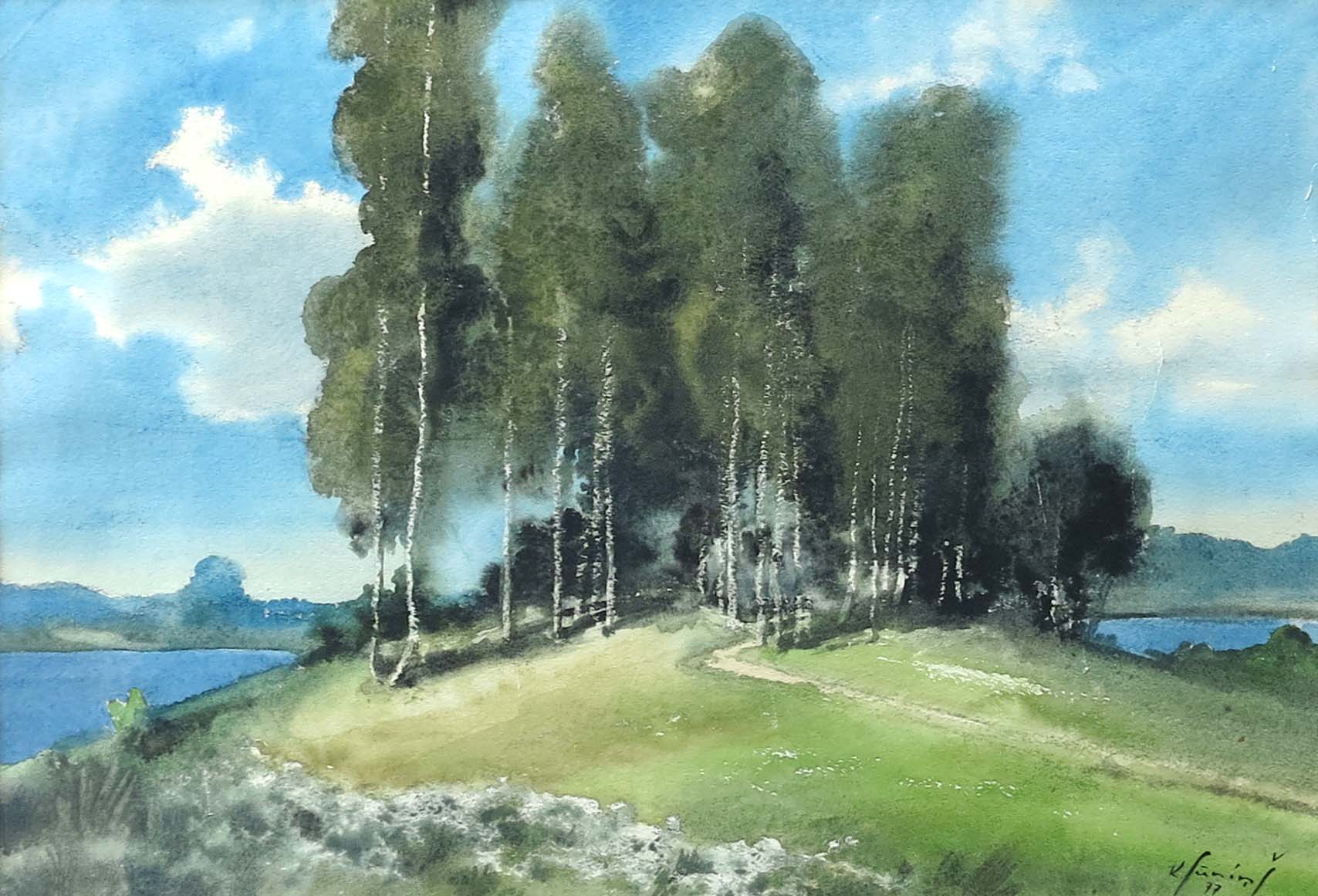 lot picture