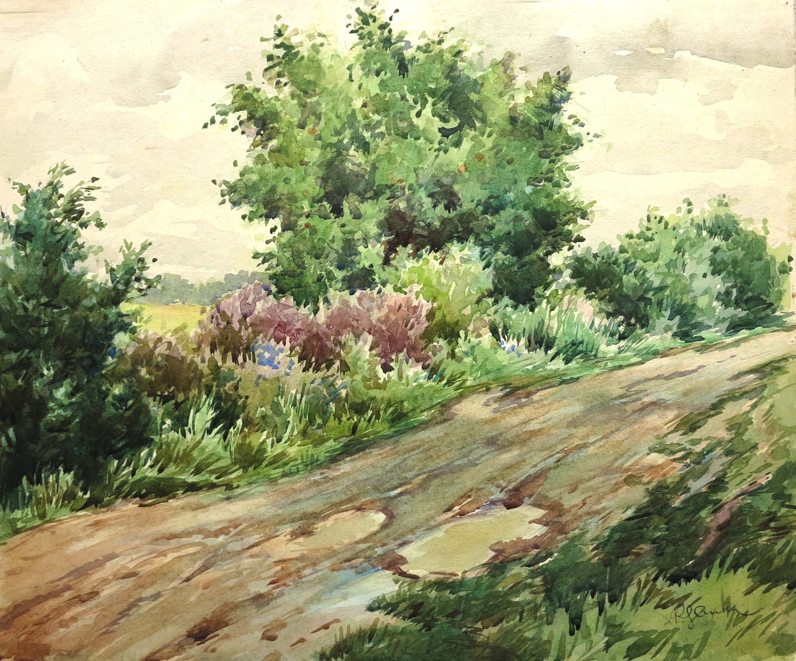lot picture