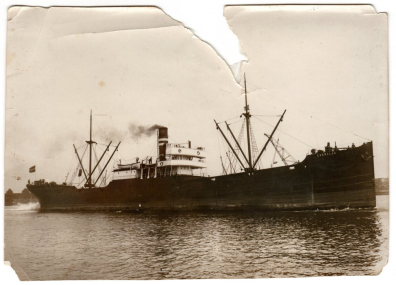 lot picture