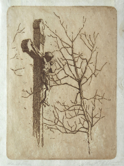 lot picture