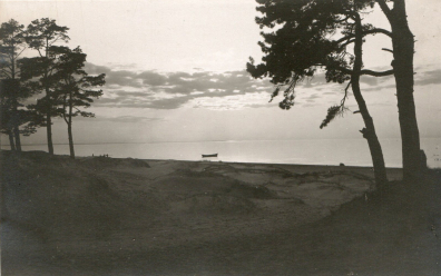 lot picture