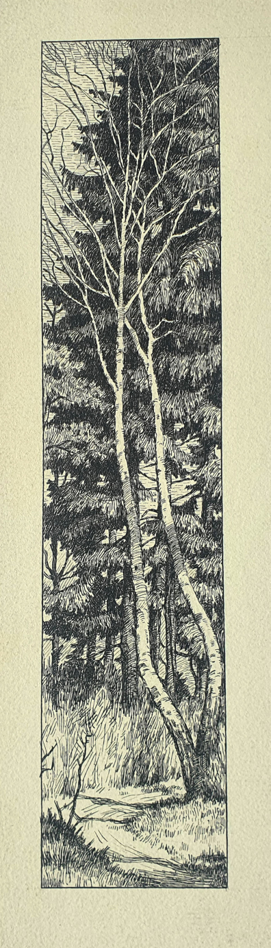 lot picture