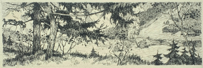 lot picture