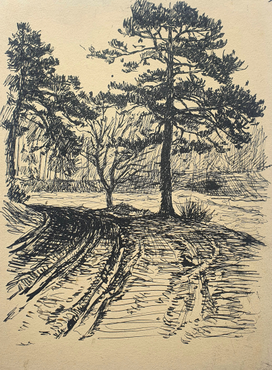 lot picture