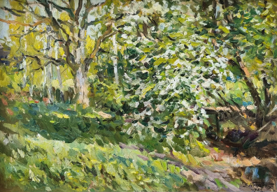 lot picture