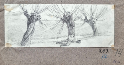 lot picture