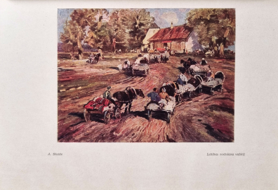 lot picture