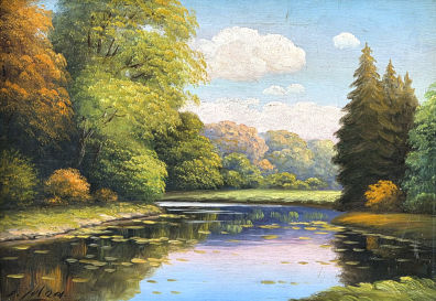 lot picture
