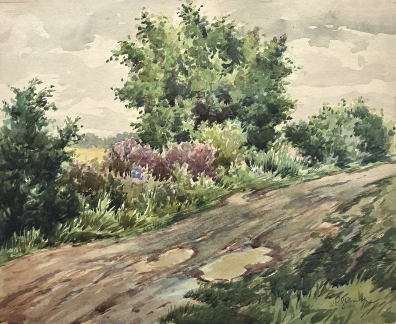 lot picture
