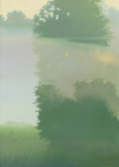 lot picture
