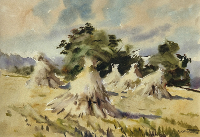 lot picture