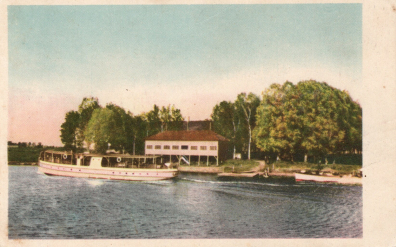 lot picture