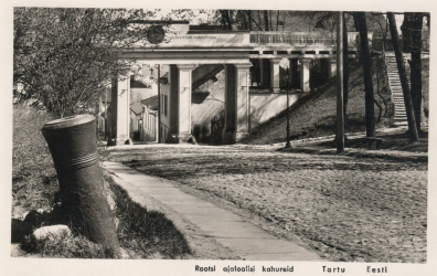 lot picture