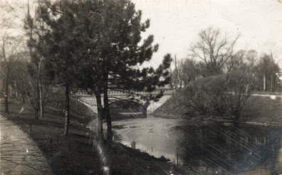 lot picture