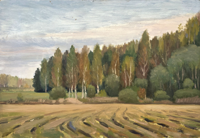 lot picture