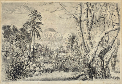 lot picture