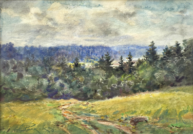lot picture