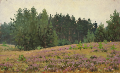 lot picture