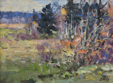 lot picture