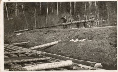 lot picture