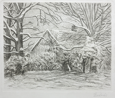 lot picture