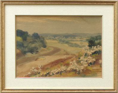 lot picture