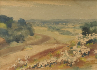 lot picture