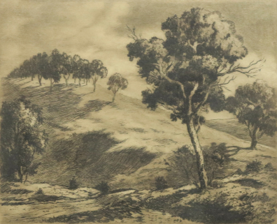 lot picture